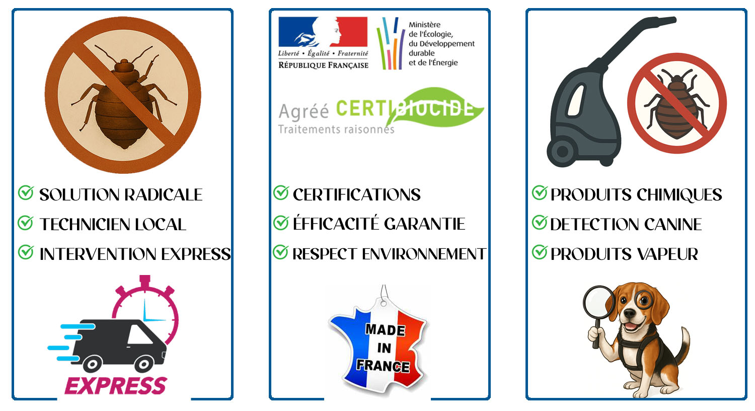 Punaises de Lit Limeil Brevannes