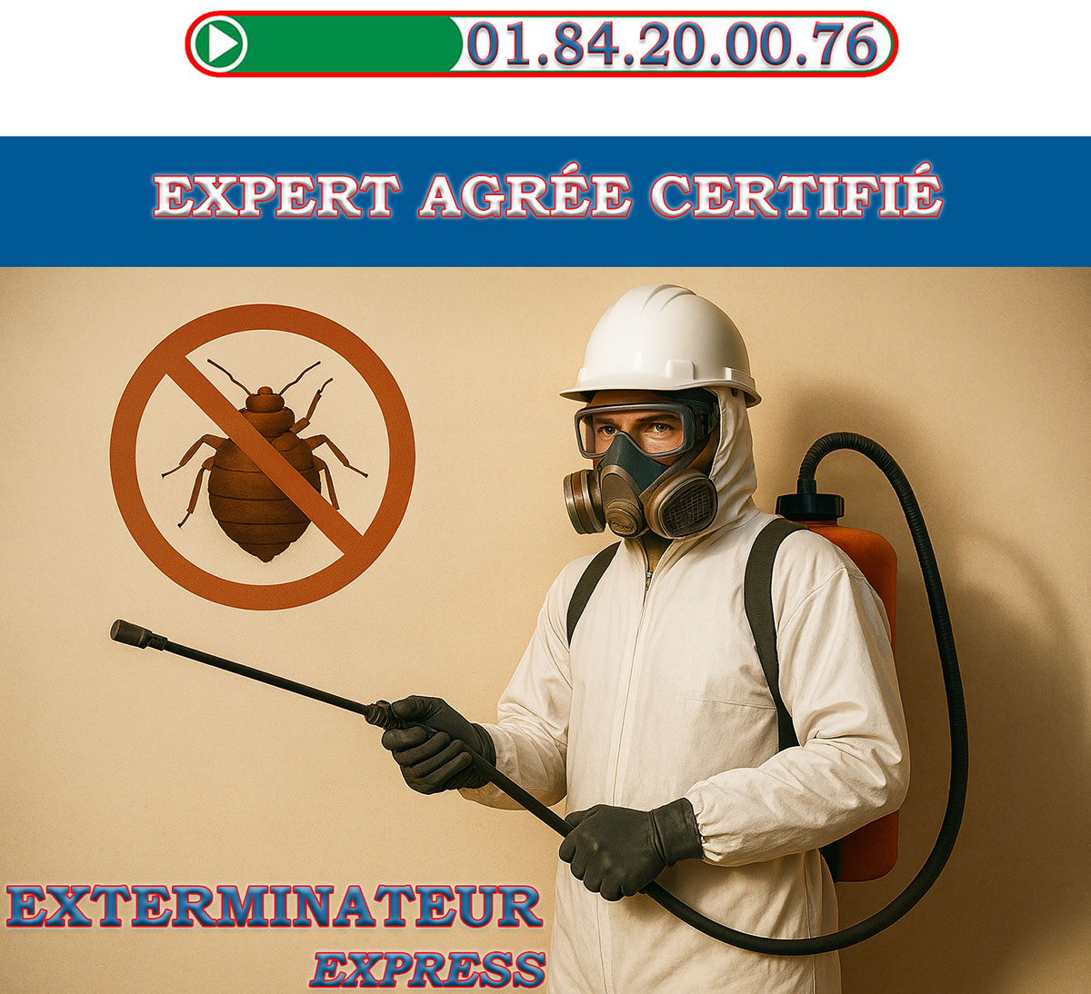 Punaises de Lit Limeil Brevannes